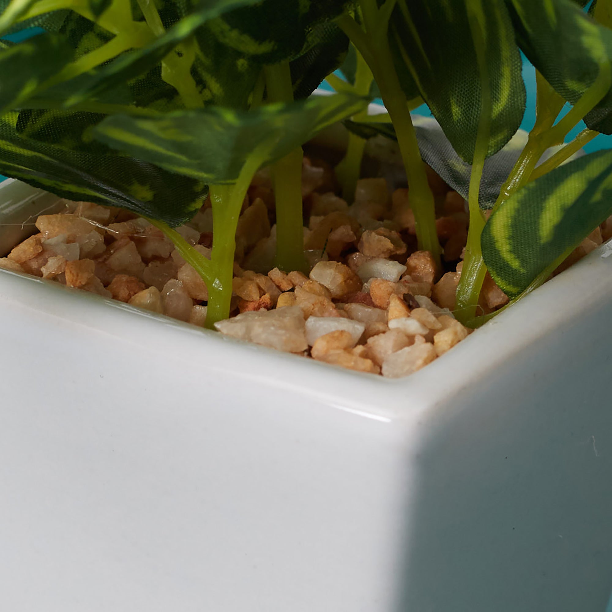 Ilana  Faux Peperomia Ceramic Potted Plant 19 Cm in Green Colour