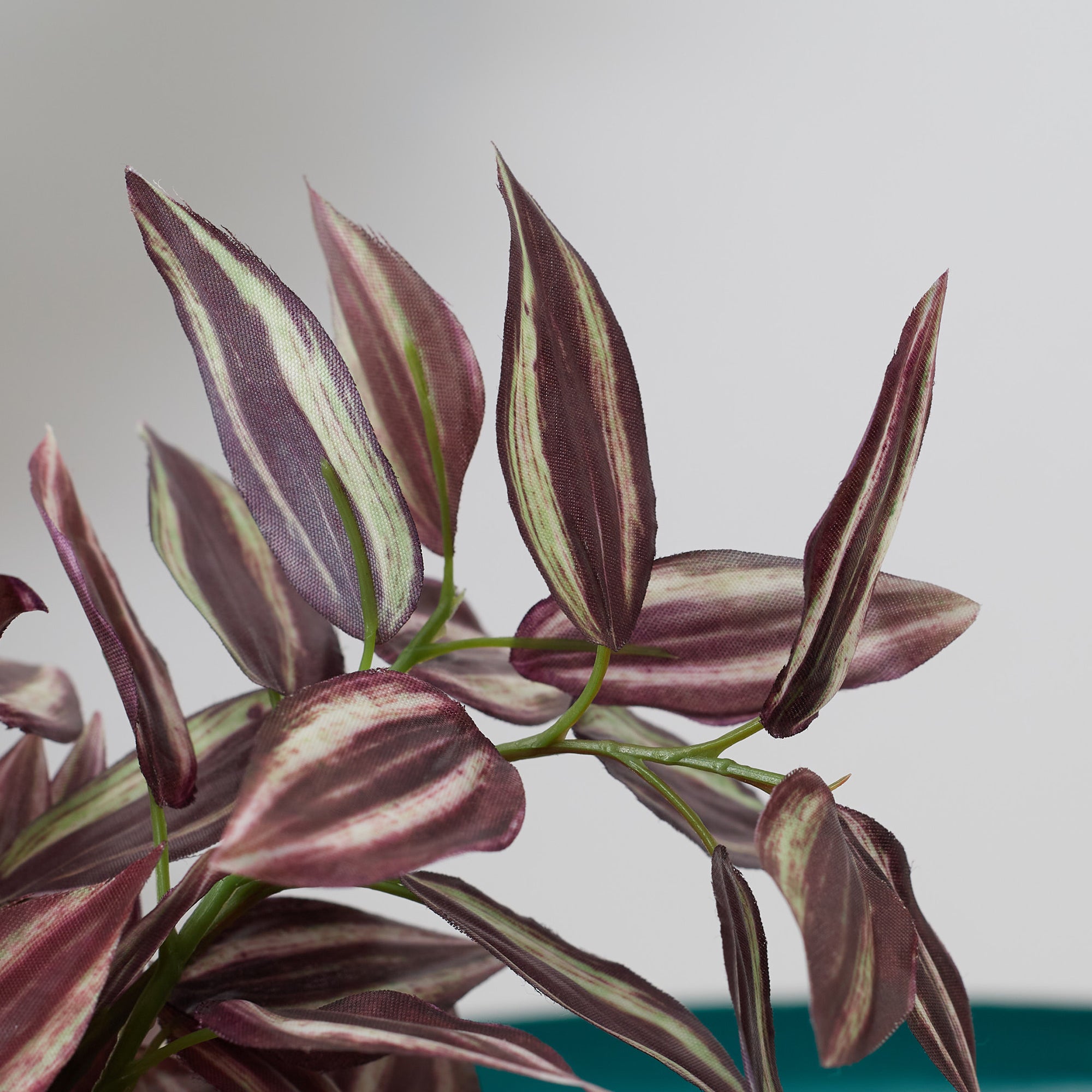Ilana  Faux Wandering Jew Ceramic Potted Plant 24 Cm in Green Colour