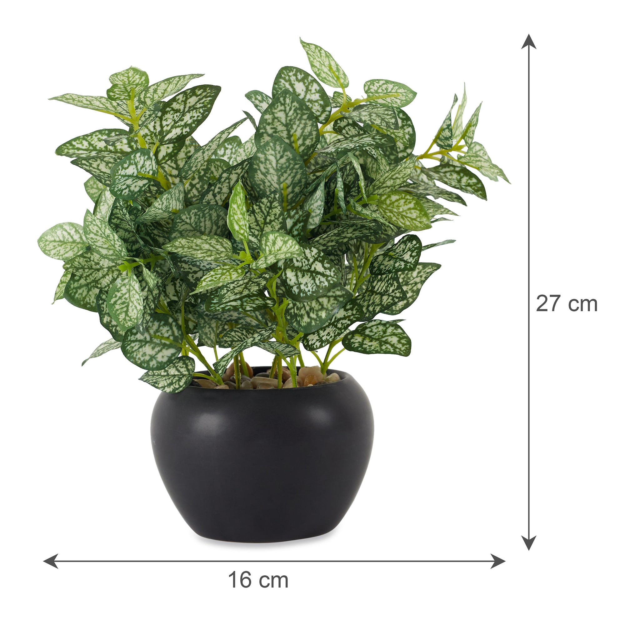 Ilana Faux Hypoestes Ceramic Potted Plant 27 Cm in Green Colour
