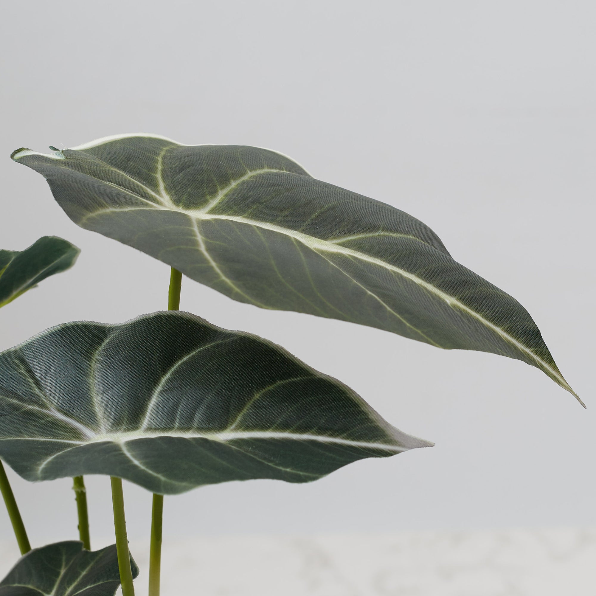 Ilana Faux Alocosia Ceramic Potted Plant 33 Cm in Green Colour