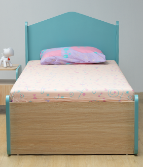 Secret Den Single Size Bed with Storage in Marine Teal Colour
