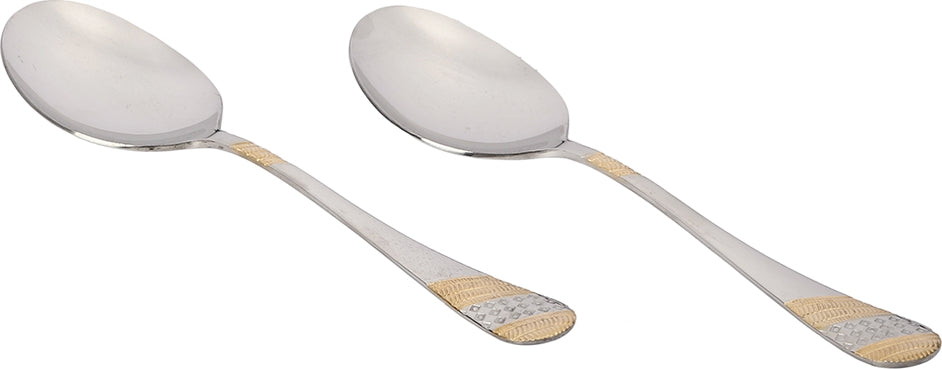 Fns Imperio Steel Serving Spoon Set 2 Pc in Multi Colour