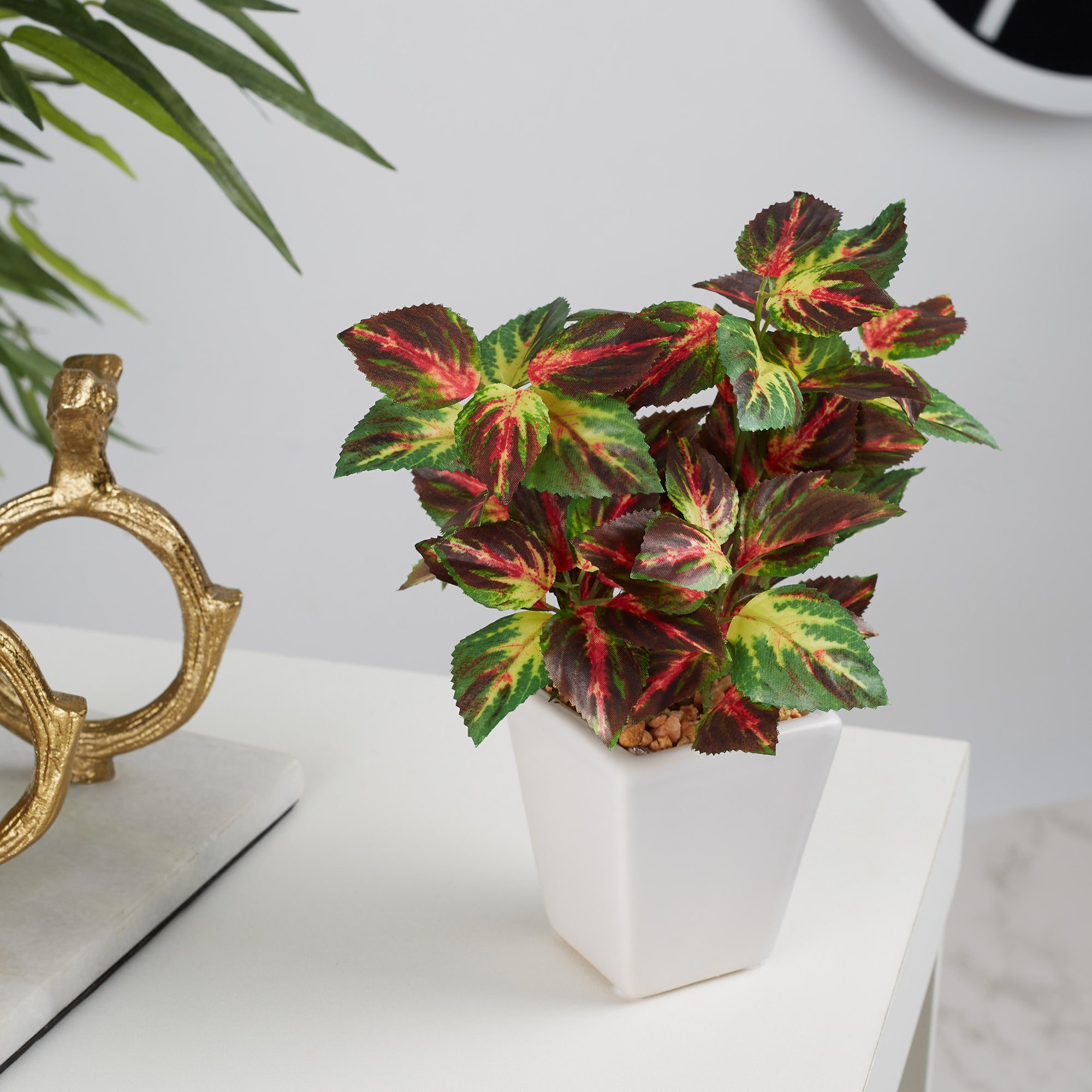 Ilana  Faux Coleus Ceramic Potted Plant 19 Cm in Green Colour
