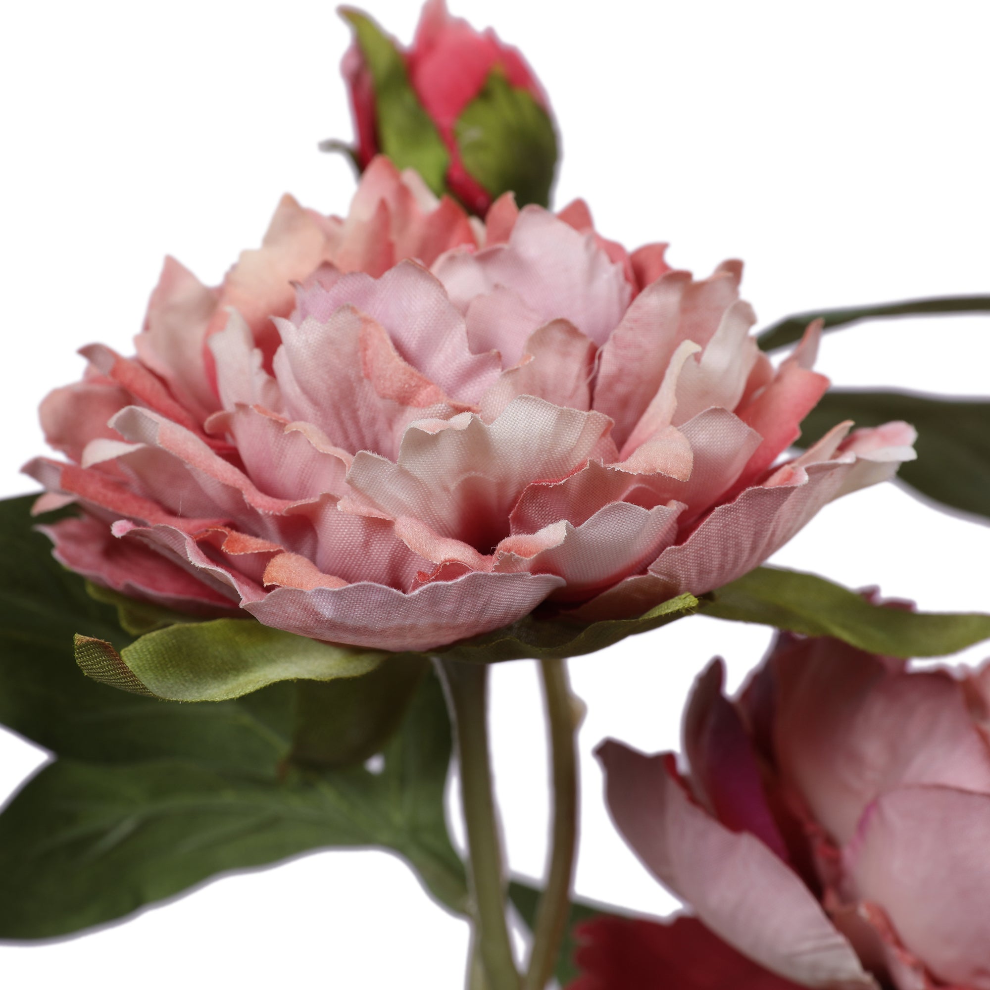 Blume Artificial Flower Peony Stem 74cm in Pink Colour By Living Essence