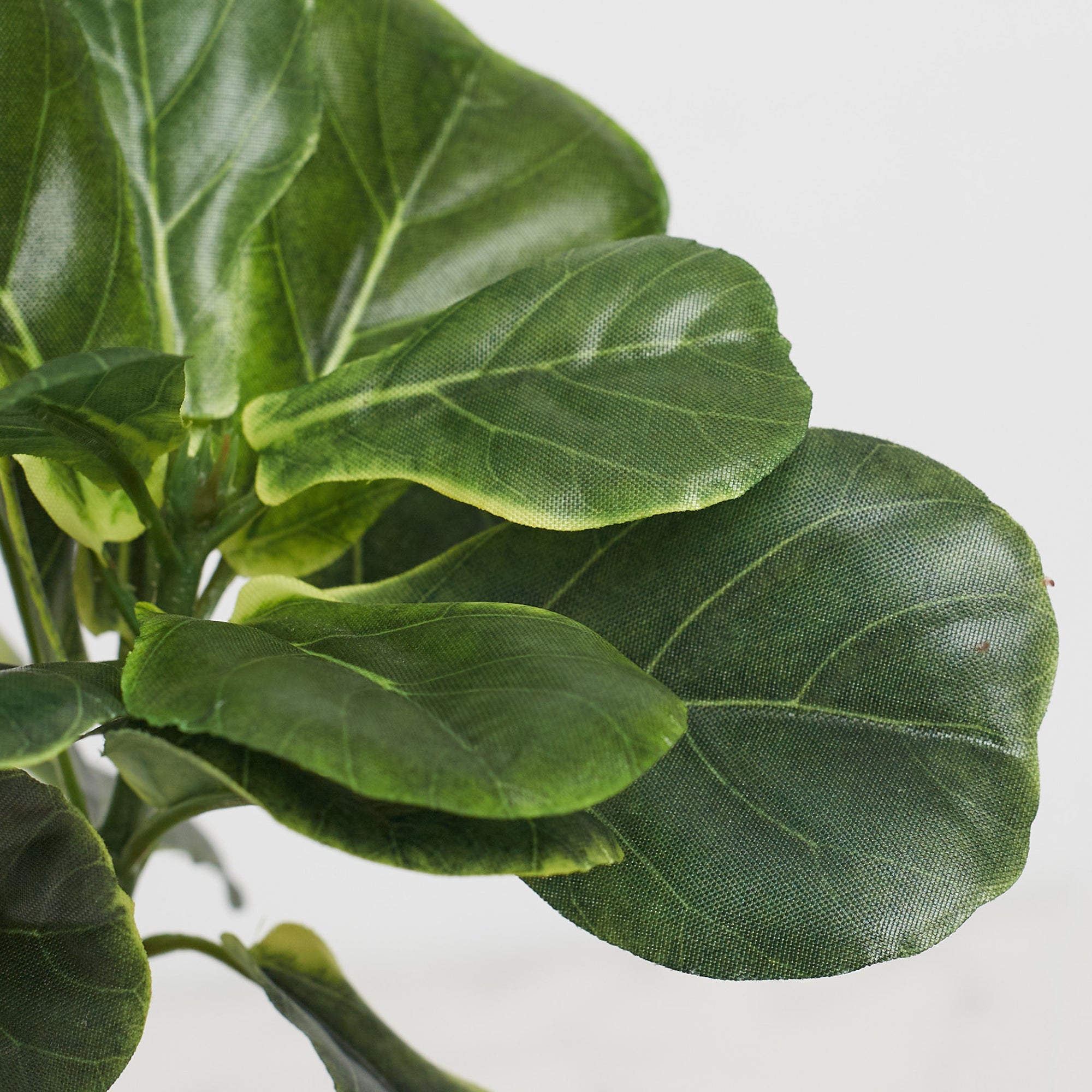 Ilana  Faux Fiddle Ceramic Potted Plant 29 Cm in Green Colour