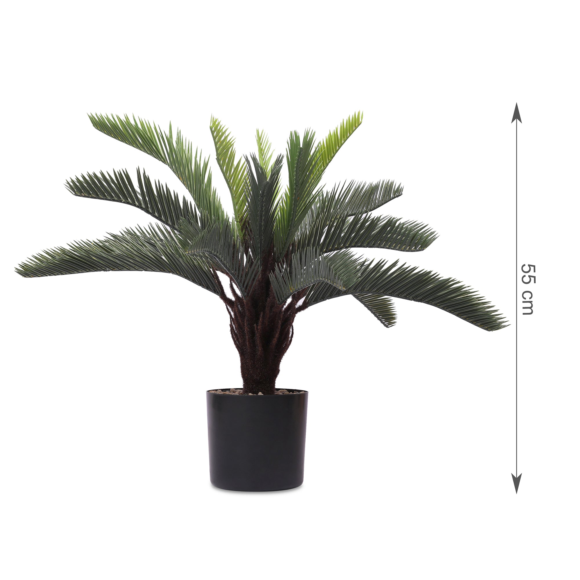 Blume Artificial Potted Plant Cycas Palm 55cm in Green Colour By Living Essence