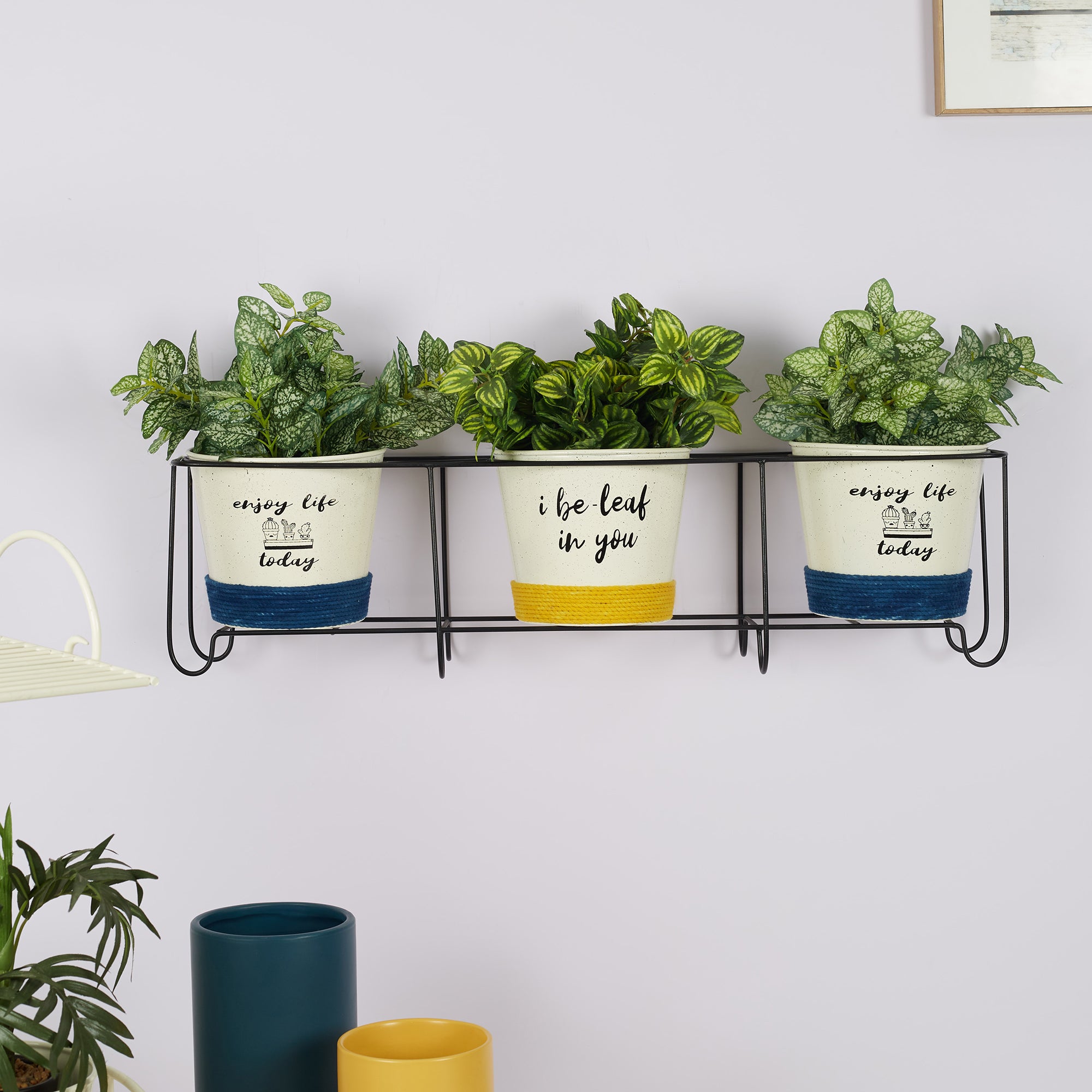Pep Pop Metal Funky Quote Wall Planter 67X18Cm in Multi Colour