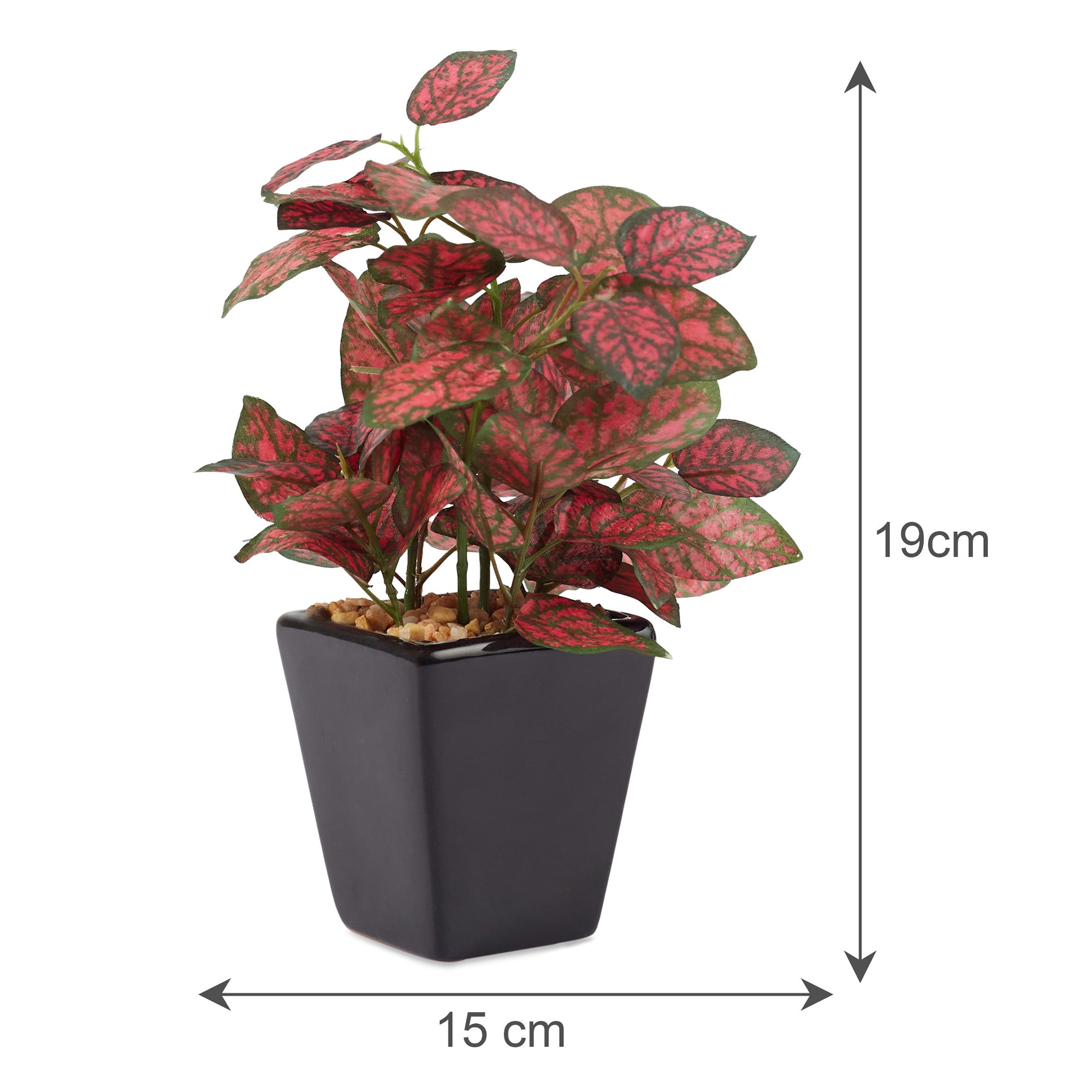 Ilana Faux Hypoestes Ceramic Potted Plant 19 Cm in Red Colour
