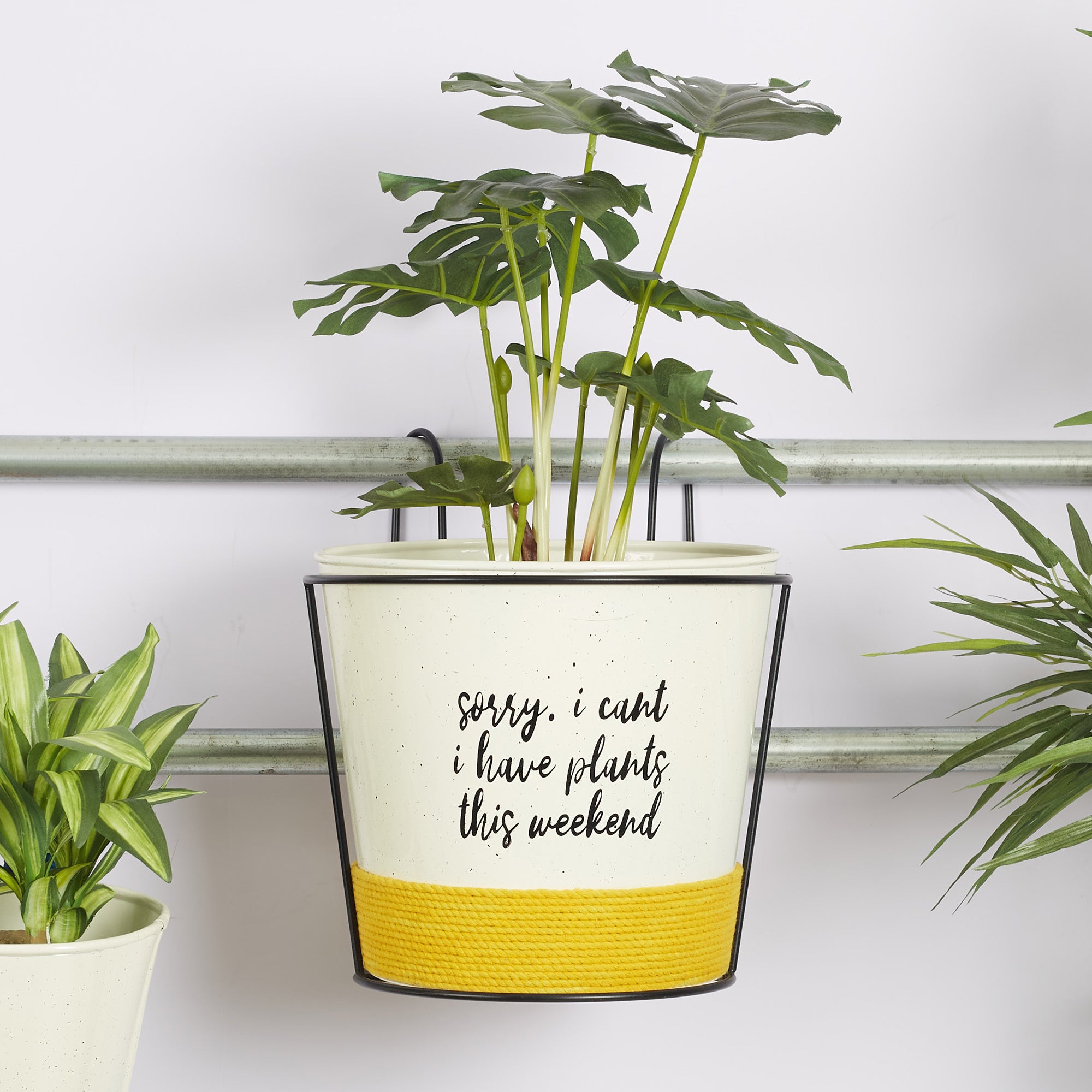 Pep Pop Metal Quote Railing Planter 26Cm in Off White & Yellow Colour