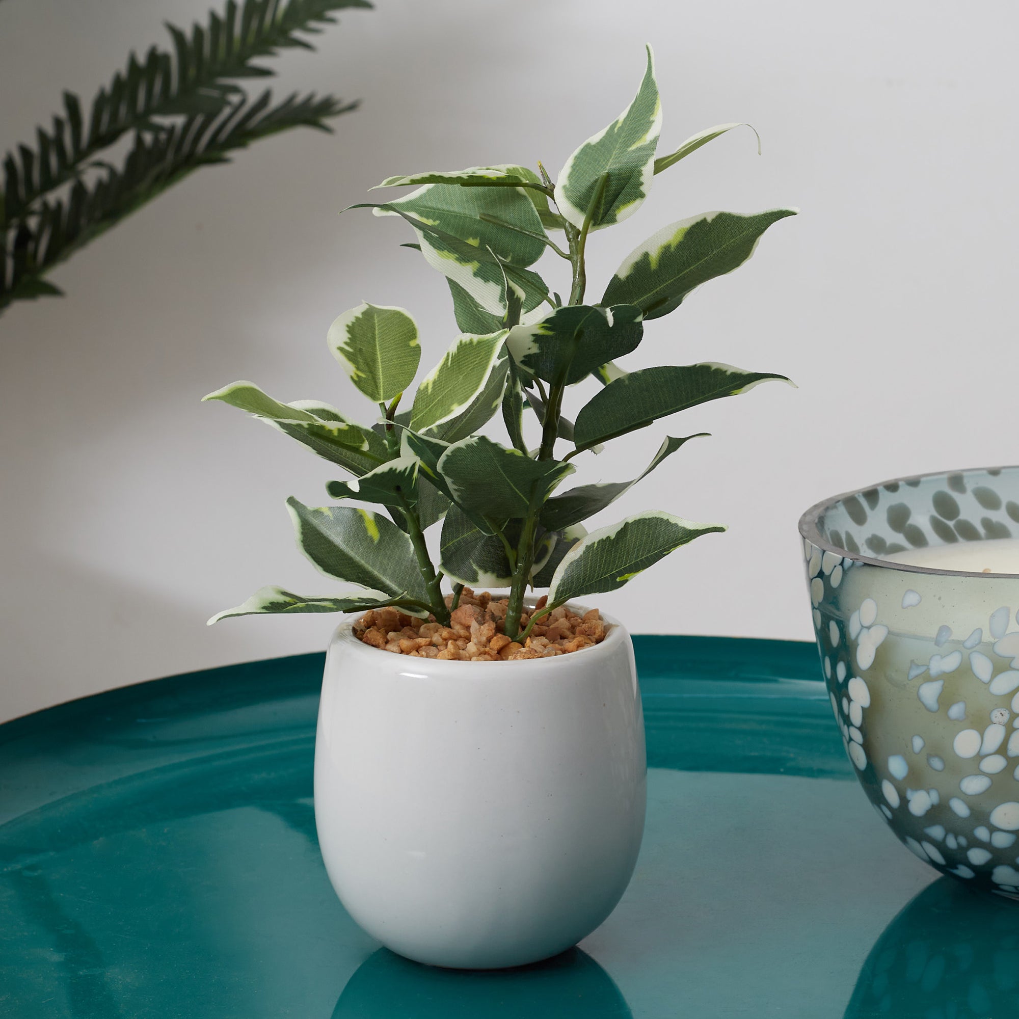 Ilana Faux Quercus Ceramic Potted Plant 23 Cm in Green Colour
