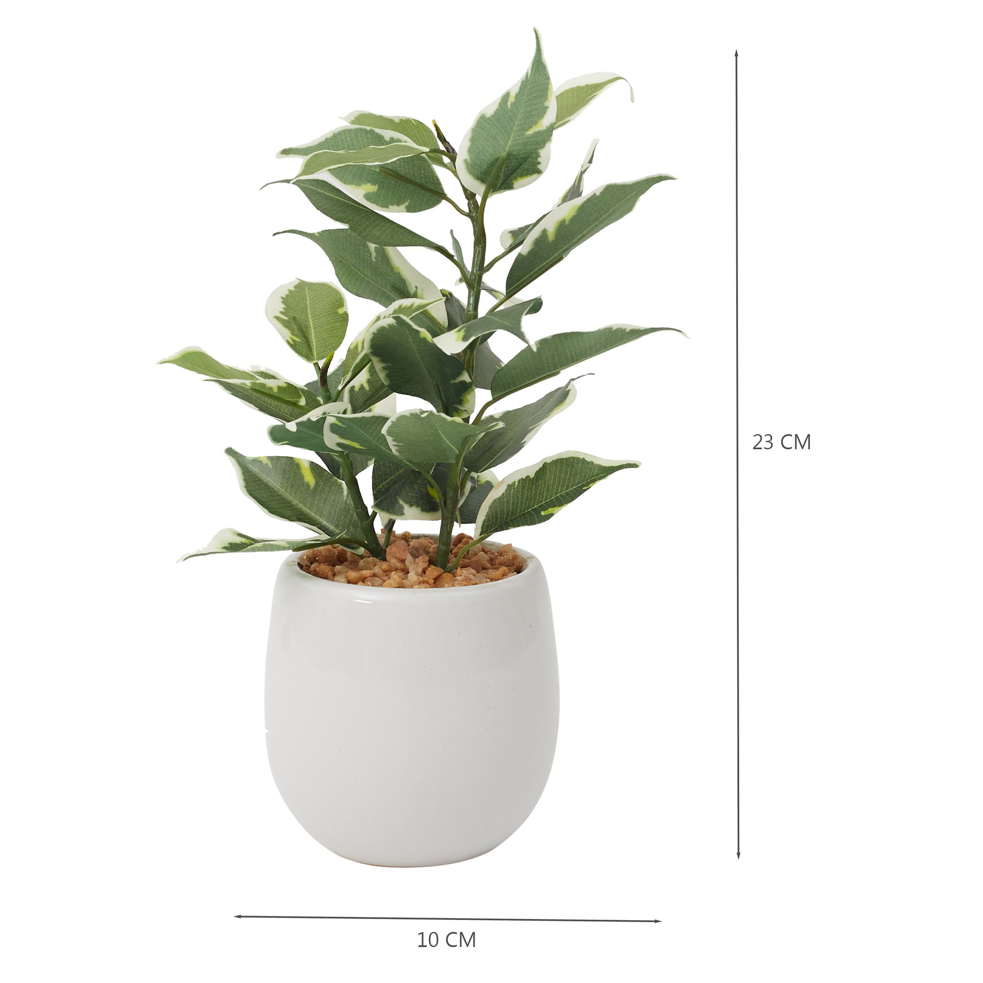 Ilana Faux Quercus Ceramic Potted Plant 23 Cm in Green Colour