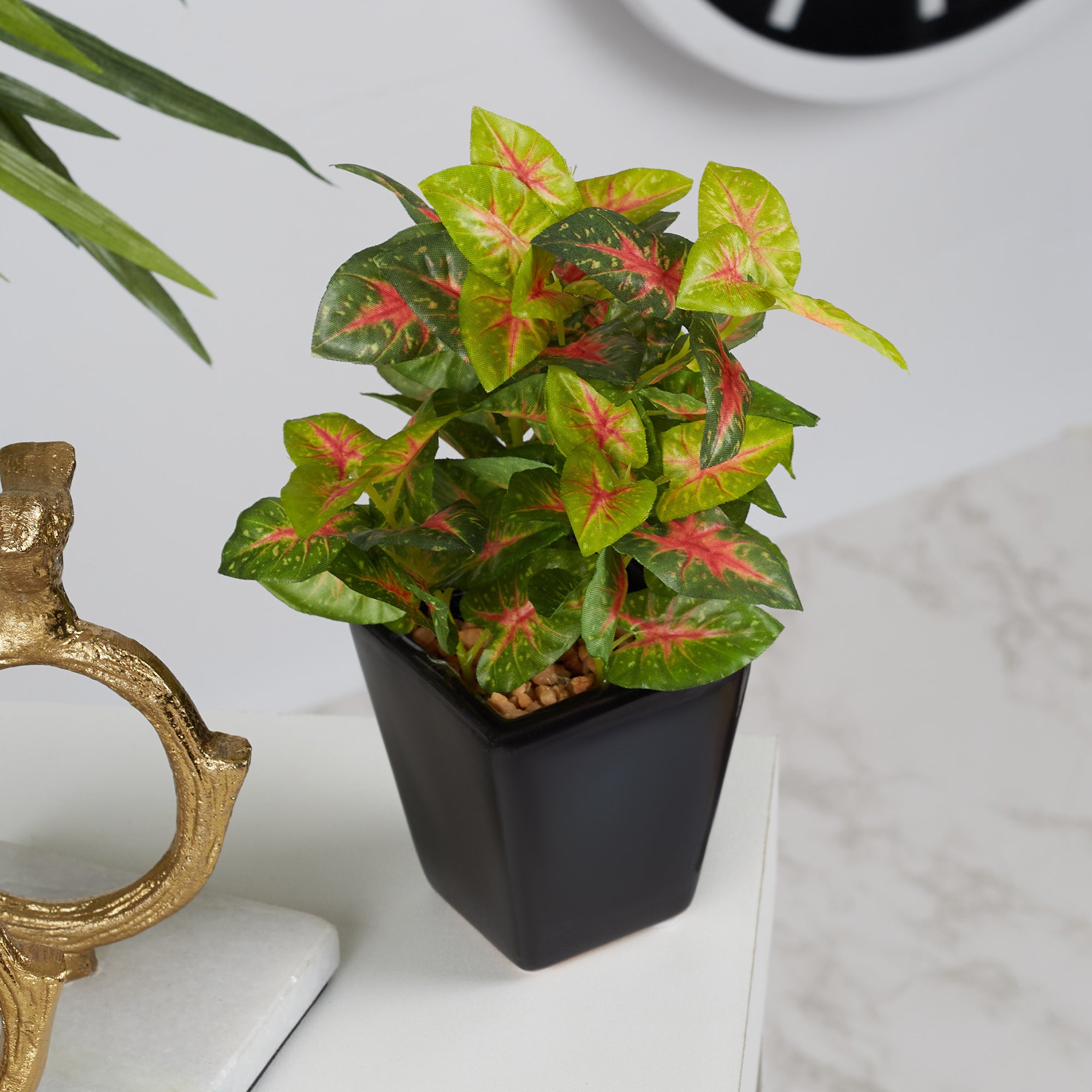 Ilana  Faux Caladium Ceramic Potted Plant 19 Cm in Green Colour