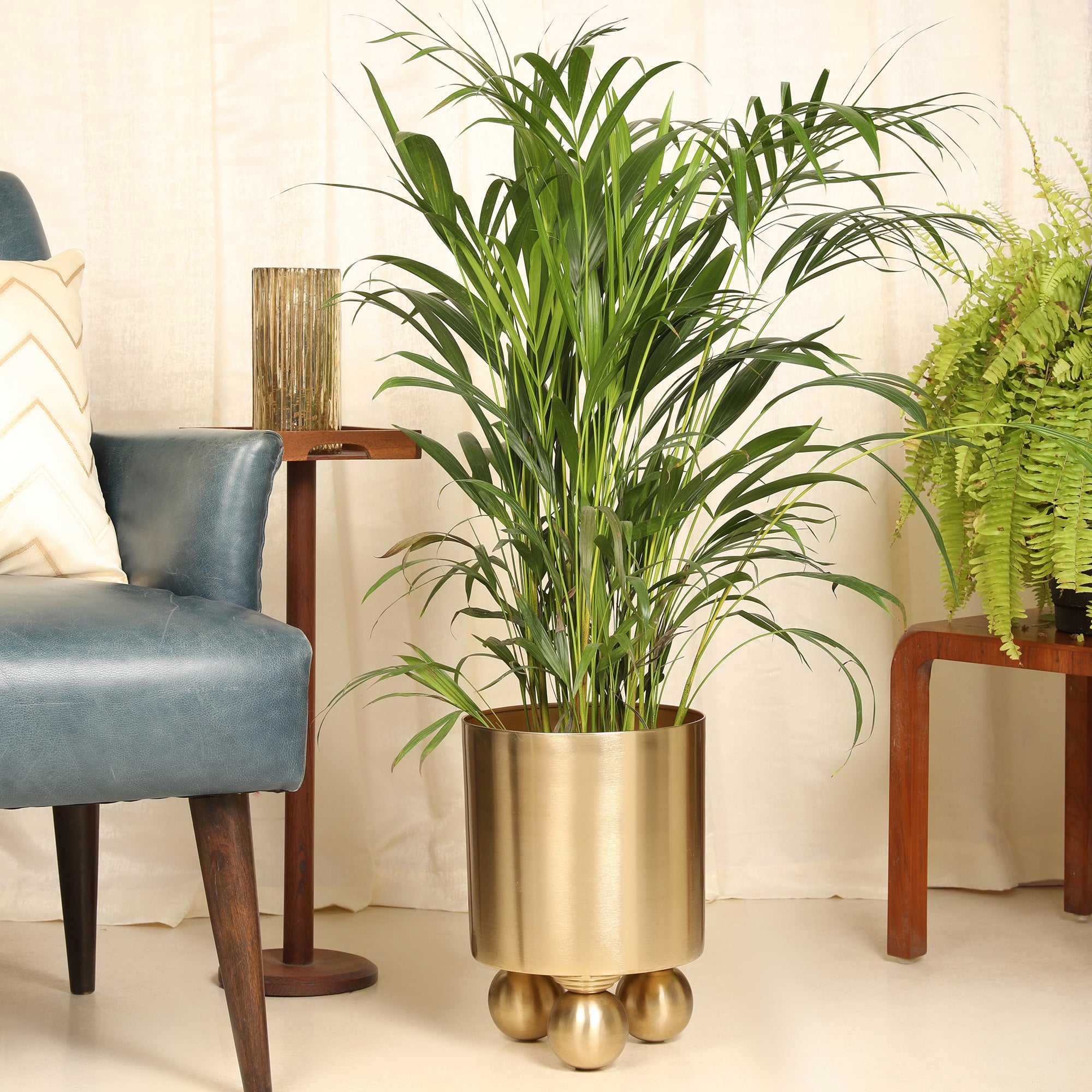Cosmos Metal Planter 33 cm in Gold Colour