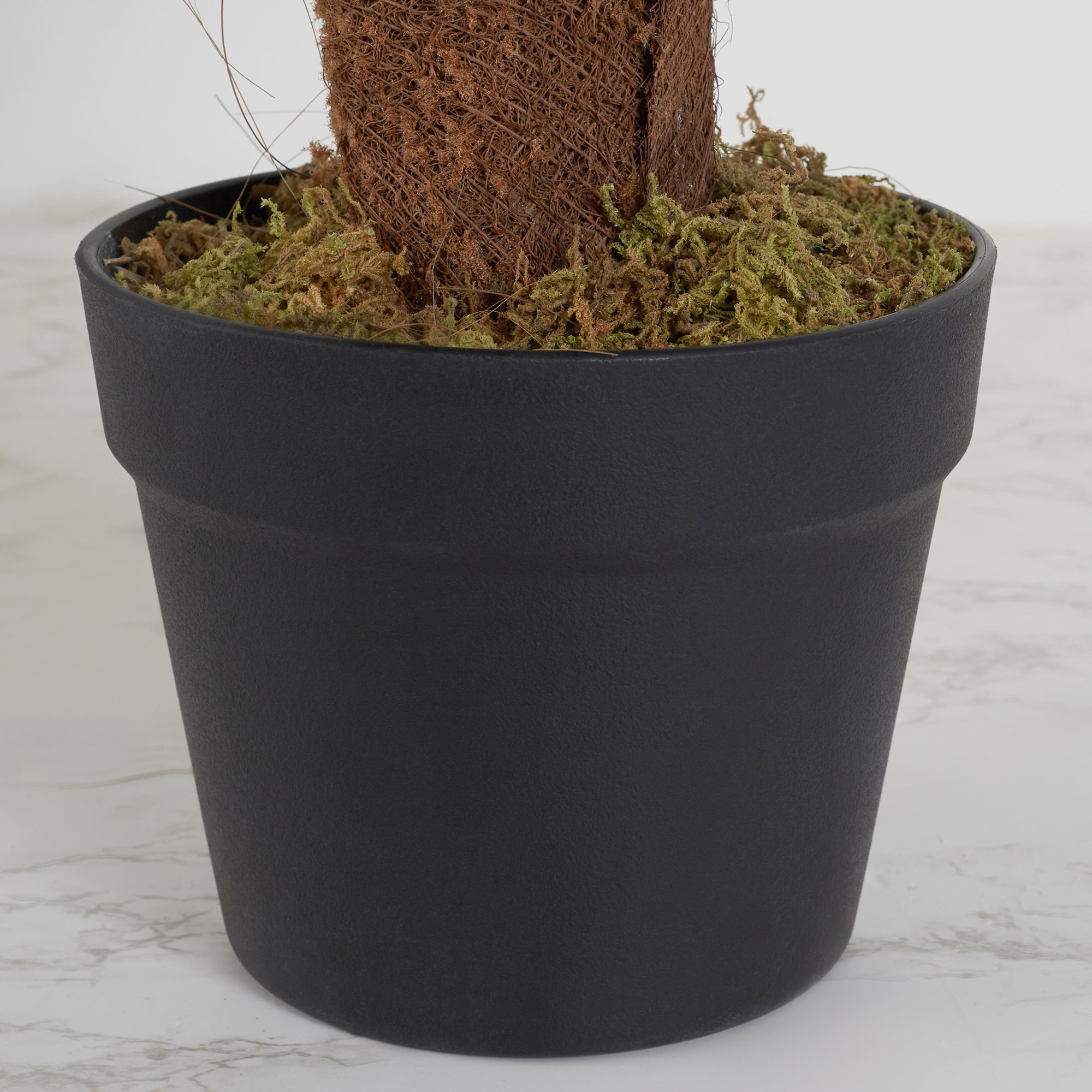 Ilana Artificial Palm Potted Tree 60Cm in Green Colour