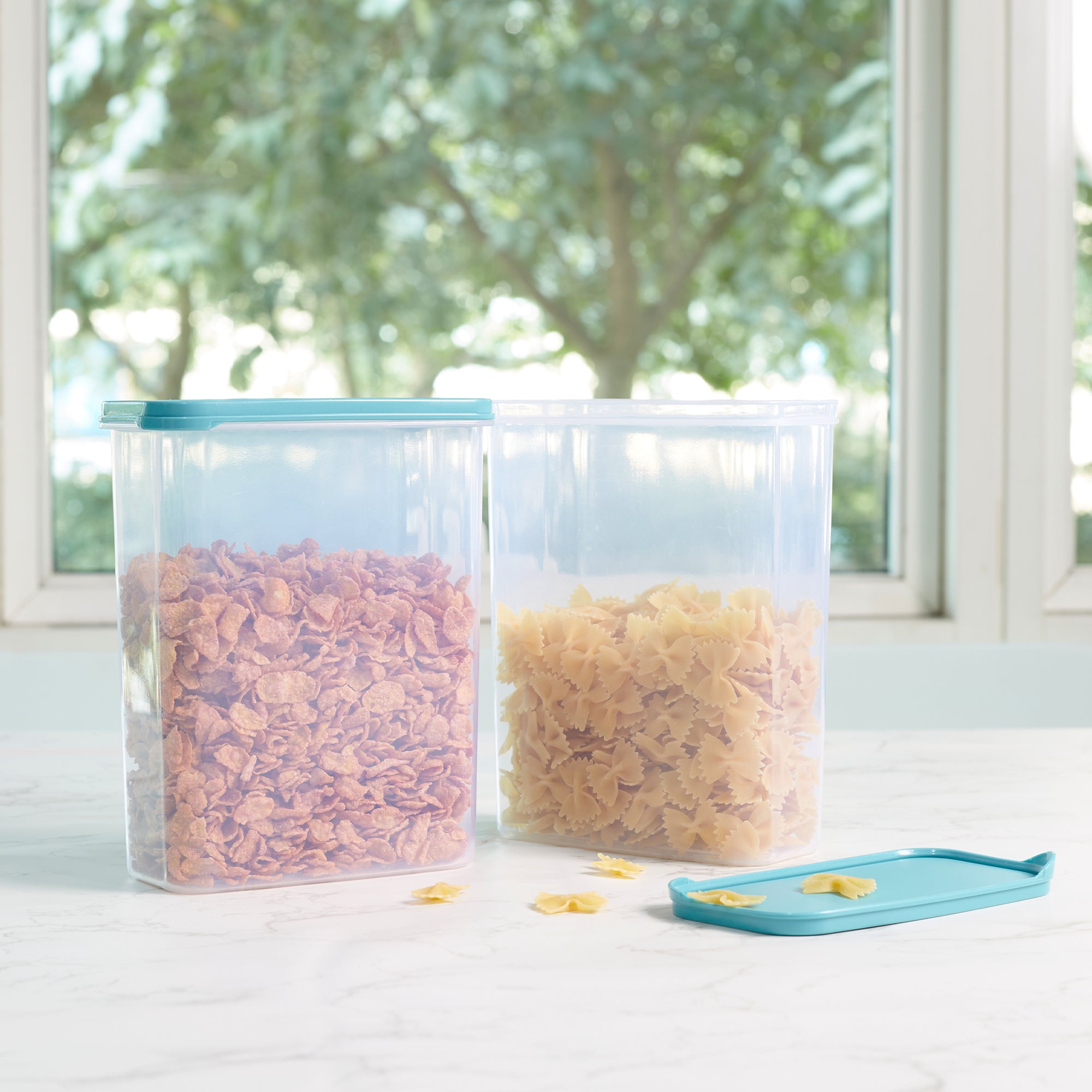 Modular Mate Plastic Rectangular Container 2600ml Set of 2 in Teal & Transparent Colour
