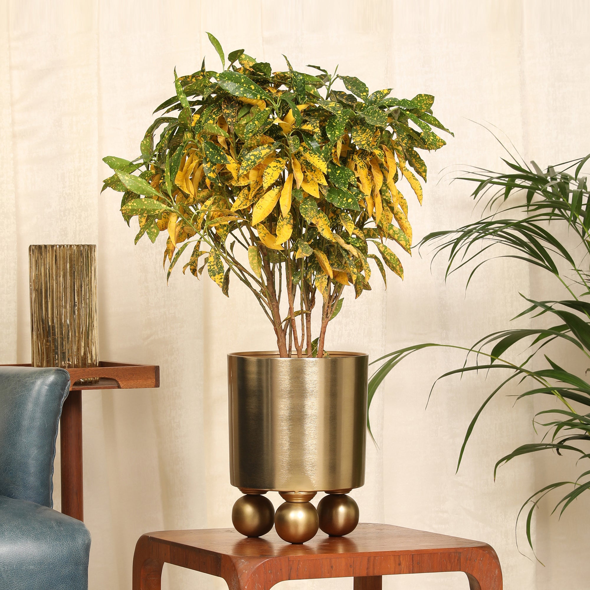 Cosmos Metal Planter 25 cm in Gold Colour