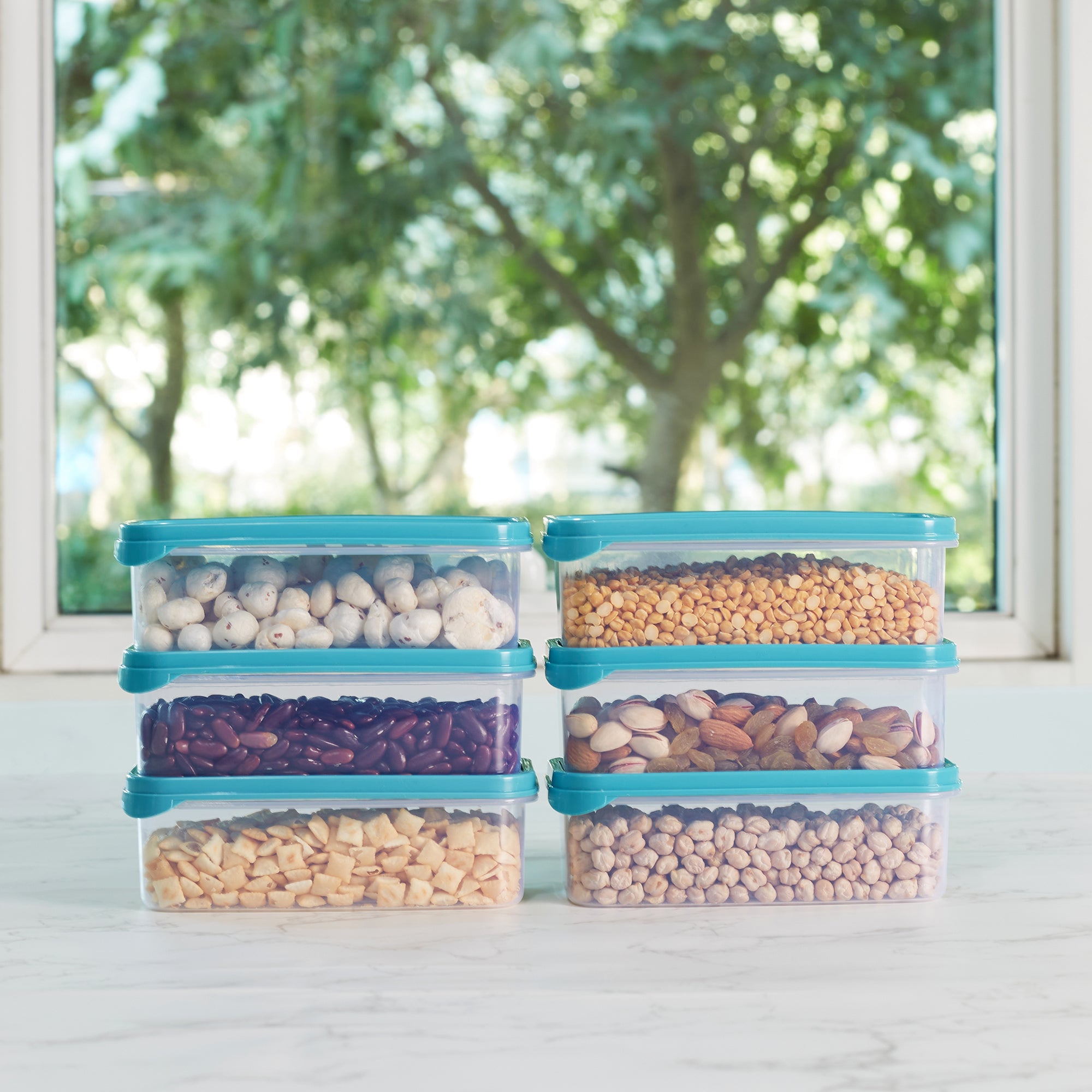 Modular Mate Plastic Rectangular Container 800ml Set of 6 in Teal & Transparent Colour