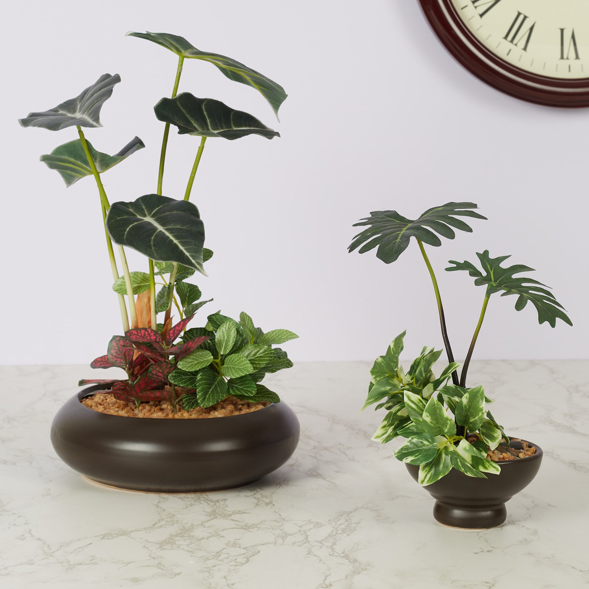 Ilana Faux Alocosia Ceramic Potted Plant 33 Cm in Green Colour