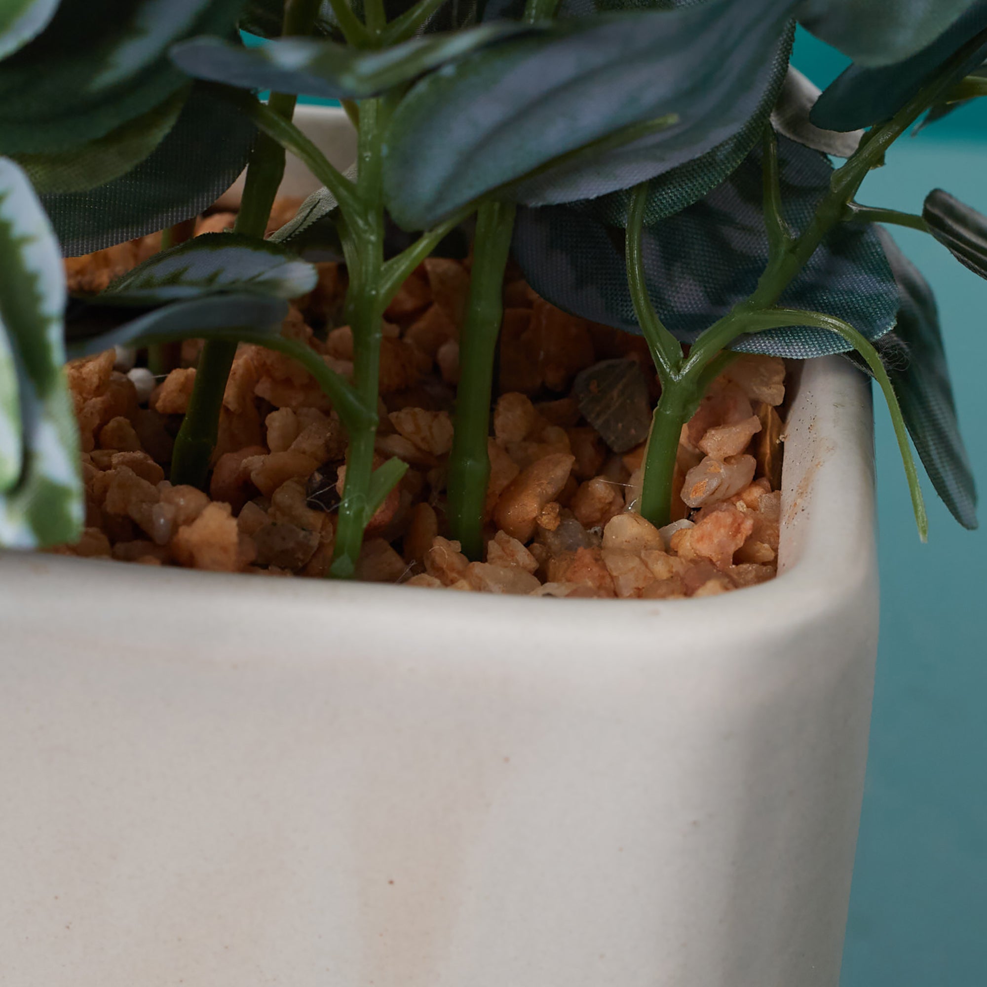 Ilana Faux Peperomia Ceramic Potted Plant 20 Cm in Green Colour