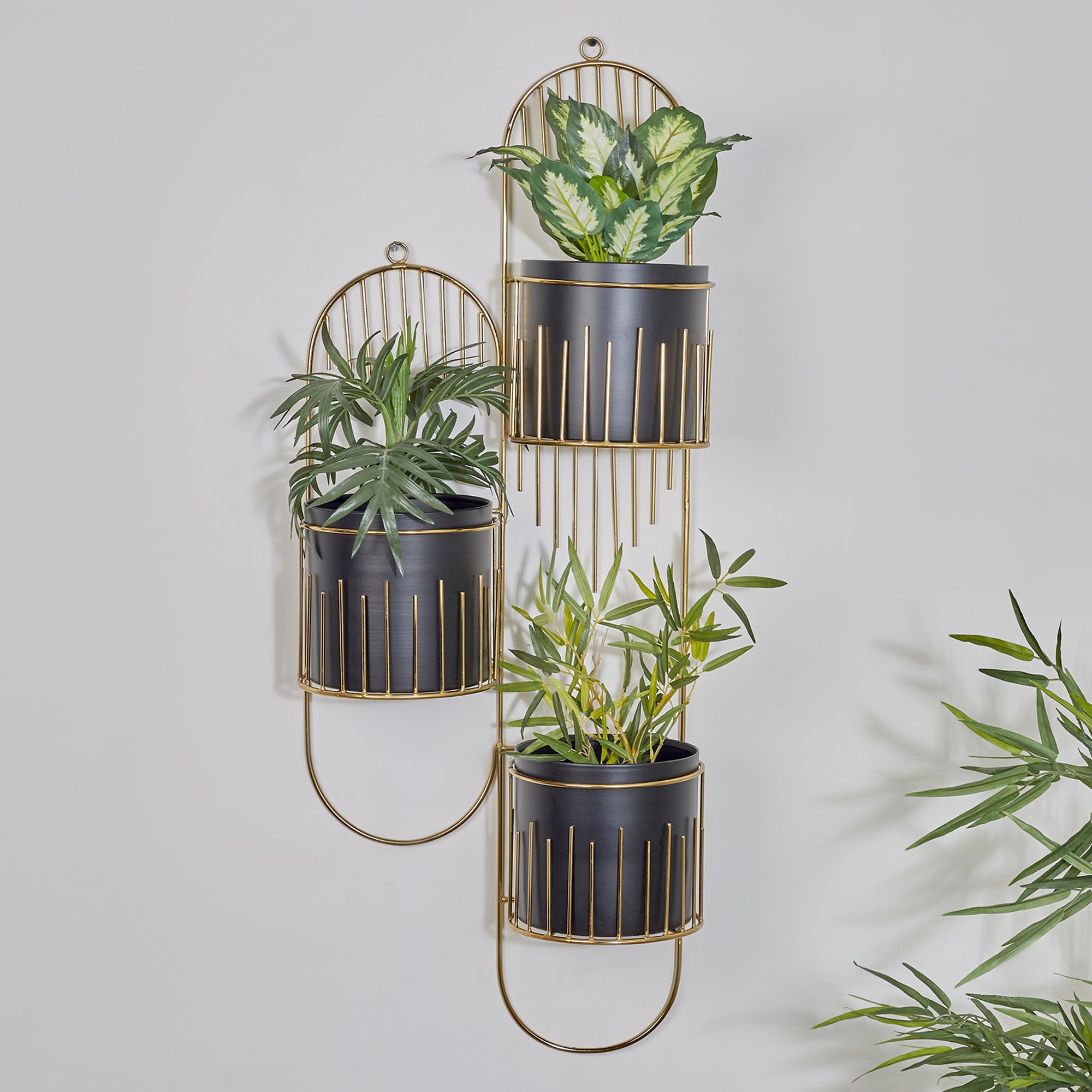 Artiskylar Metal Matt Finish Wall Planter 88 Cm in Black and Gold Colour
