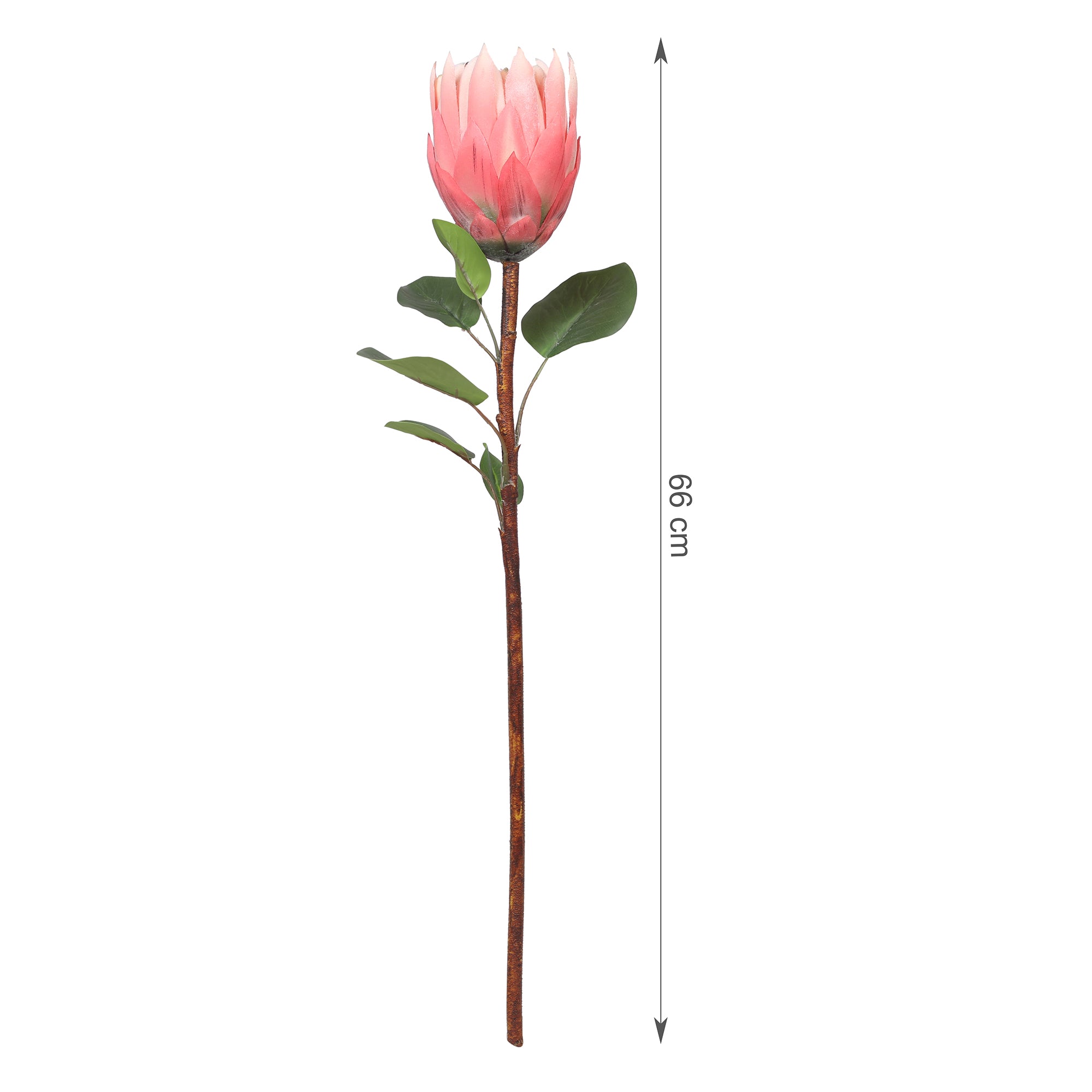 Blume Artificial Flower Protea Stem 66cm in Peach Colour By Living Essence