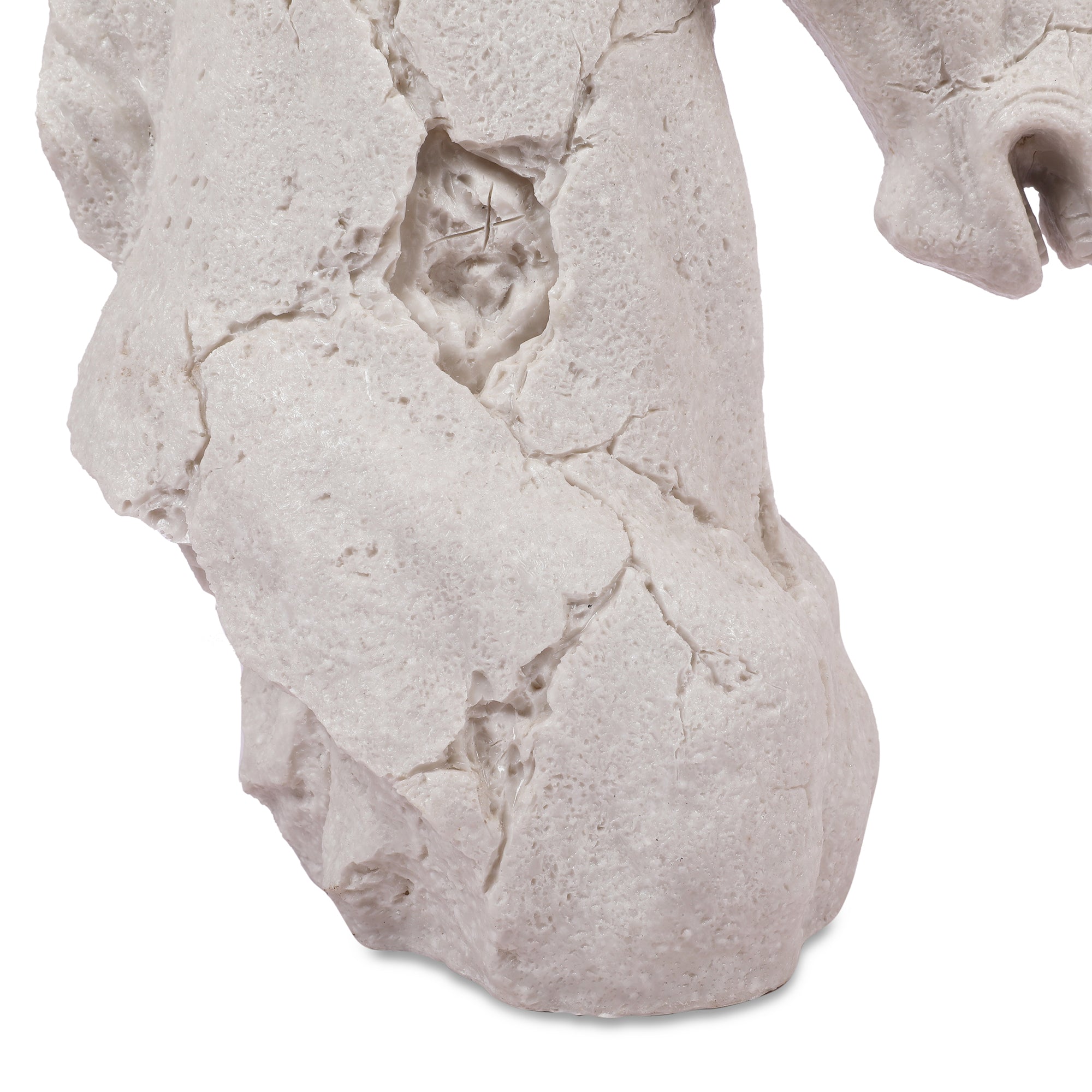 Miraya Horse Head Figurine White 39cm by Living Essence
