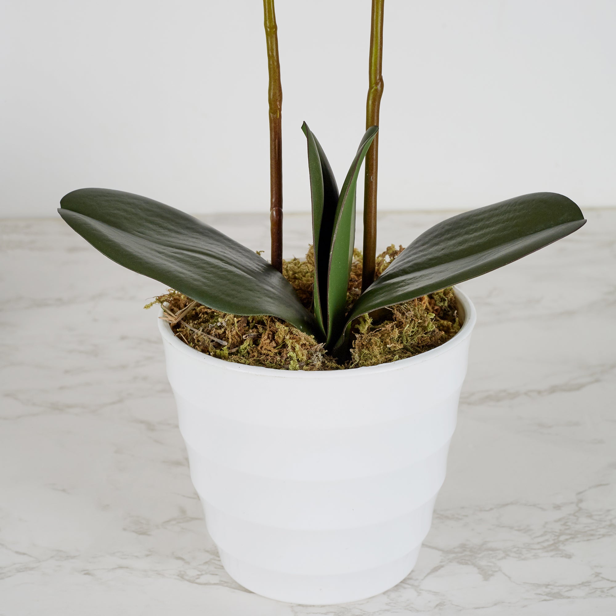 Ilana Artificial Orchid Potted Plant 40Cm in Pink Colour
