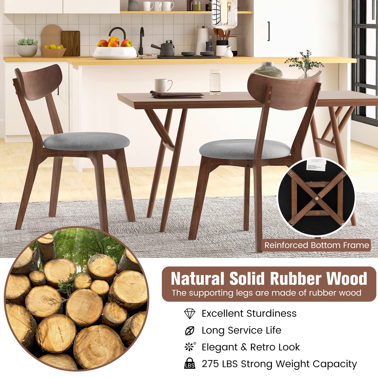 Dining Chairs Set of 2/4, Mid-Century Modern Kitchen & Dining Chairs with Curved Back and Cushioned Seat