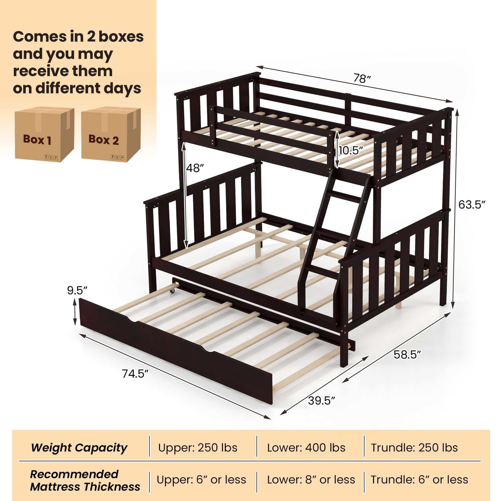 Convertible 3-in-1 Twin Over Full Bunk Bed with Trundle