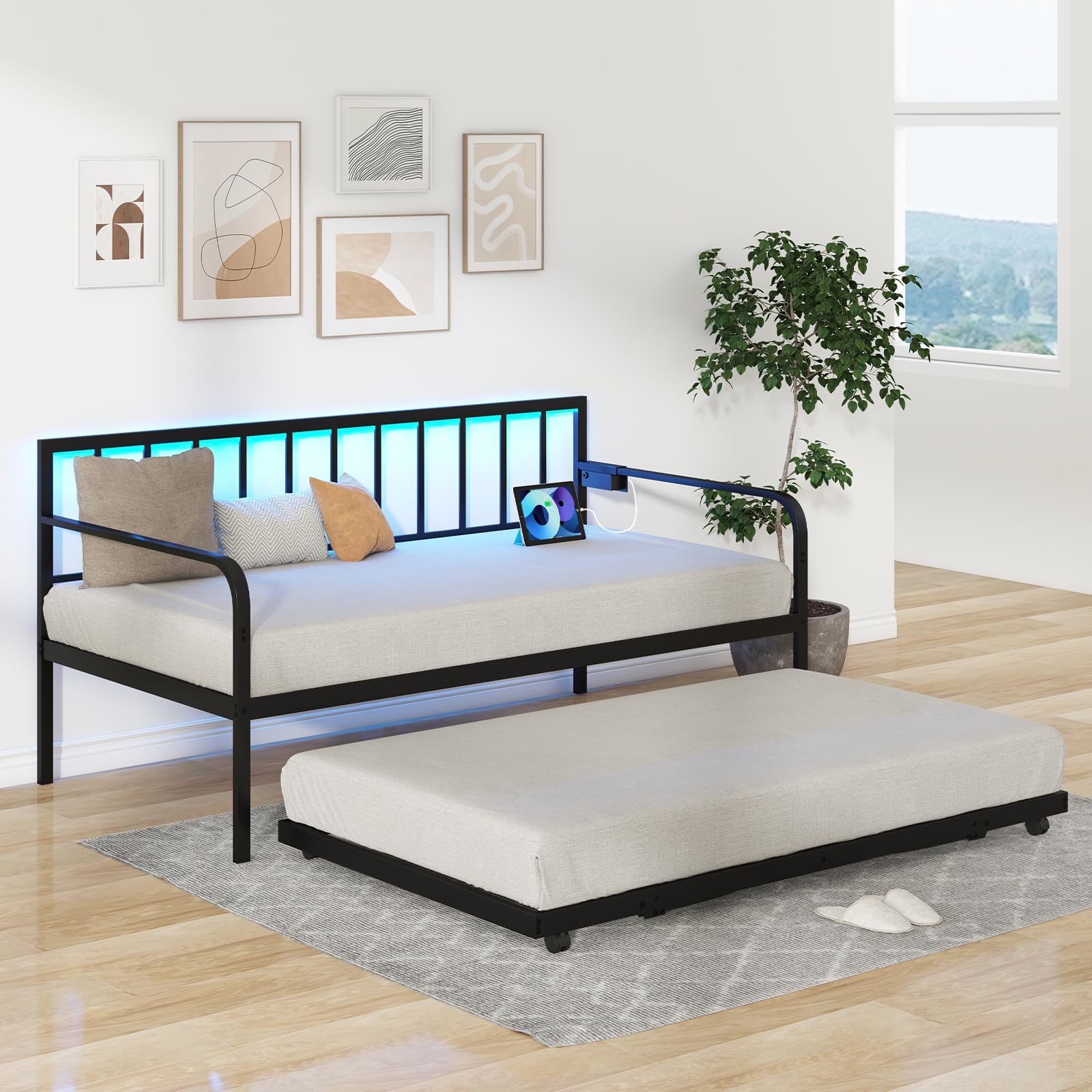 Twin Metal Daybed with Pop Up Trundle