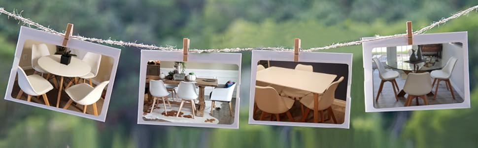 dining chairs