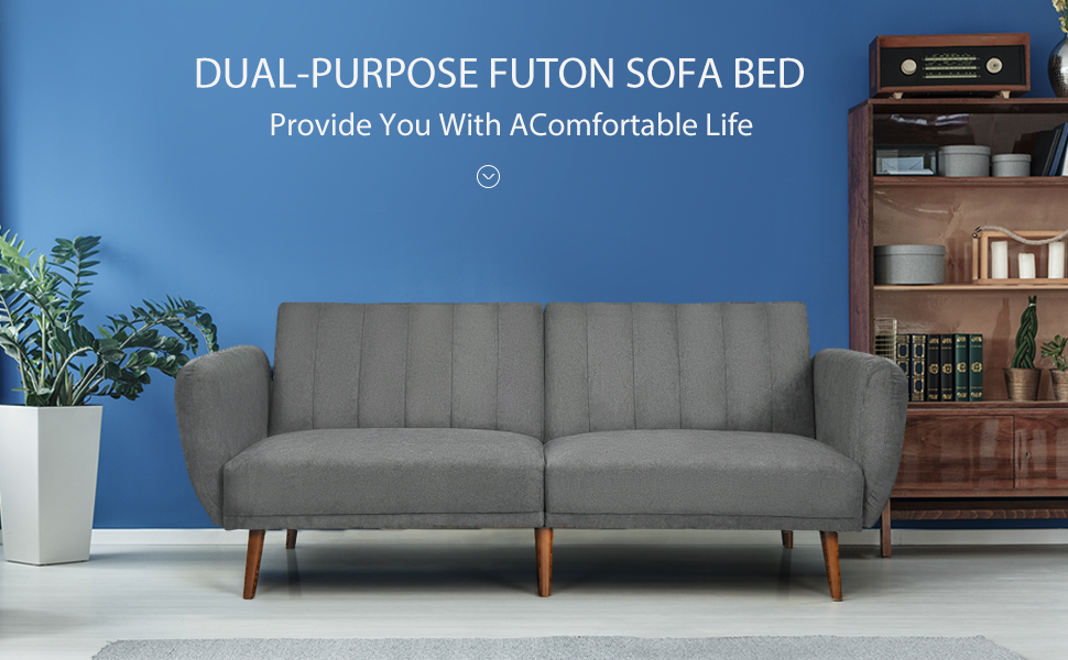 Modern Convertible Sleeper Sofa Couch